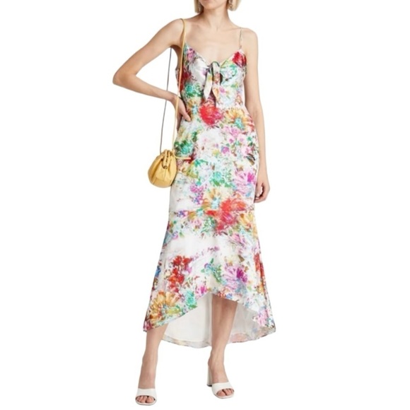 Aidan by Aidan Mattox Printed Calf High Low Patterned Dress - Picture 1 of 9